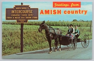 Greetings From Amish Country Intercourse Pennsylvania PA Postcard - Picture 1 of 2