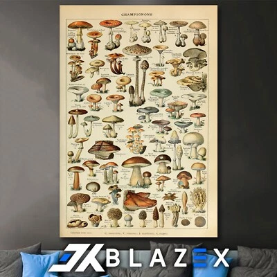 Mushrooms (Poster Print wall A4, A3, A2 Satin 260gsm) - Image 1 of 2