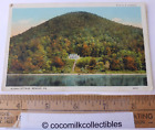 Carte postale années 1920 Aloha Cottage Renovo Pennsylvanie carte couleur eau vue montagne