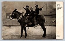 Three Black Diamonds And The Jack Mule Vintage Divided Back Postcard