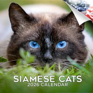 Siamese Cats Wall Calendar 2026 Animal PET Lover Gift Kitty - Picture 1 of 2