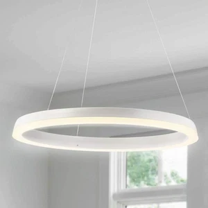 Baxter 23.5 in. 48-Watt Matte White Integrated LED Metal Hoop Pendant - Picture 1 of 12