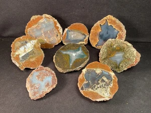 ~RW~ HERMOSO/PULIDO "MITADES THUNDEREGG" ~~ PAQUETE VARIEDAD OREGON - Imagen 1 de 8