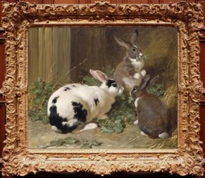 Antiguo arte maestro hecho a mano pintura al óleo antigua animal conejo sobre lienzo 20"x24" - Imagen 1 de 2