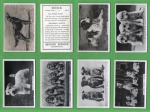 Juego de tarjetas de cigarrillo perros 1939 razas de perros fotos, Terriers, Pekingés, Bulldog, - Imagen 1 de 6