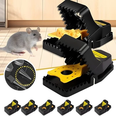6 Stück Profi Rattenfalle Schlagfalle Mausefalle  Tierfalle Maus Ratten Falle DE - Bild 1 von 4