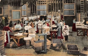 # K2875 VERPACKUNGSROSINEN in KALIFORNIEN POSTKARTE - Bild 1 von 2