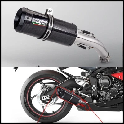 Sistema de tubos de puntas de silenciador de escape de fibra de carbono para Triumph Daytona 675R 2013-2017 Foto 1 de 4