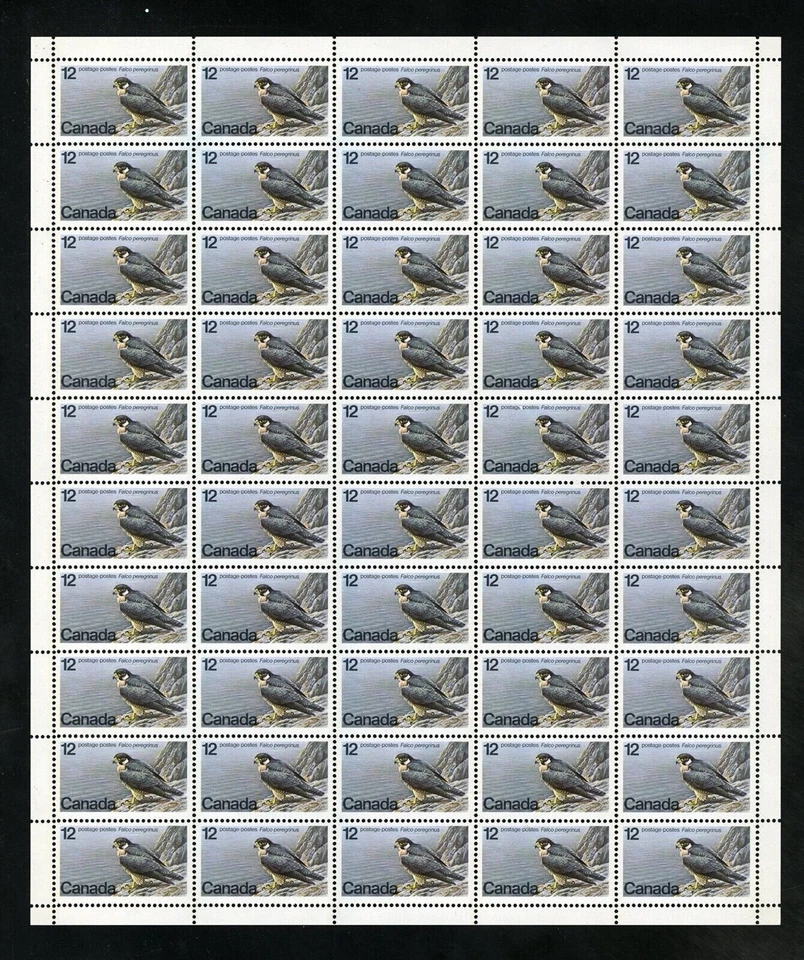 Canada - Full Pane of 50 - 1978, Endangered wildlife : Peregrine Falcon #752 MNH - Image 1 of 1