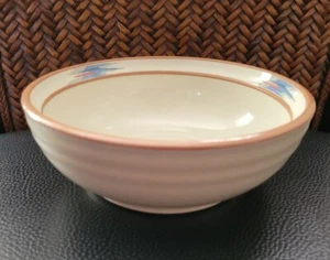 SET OF 2 NORITAKE STONEWARE RAINDANCE CEREAL BOWLS 6 1/2" - Picture 1 of 3
