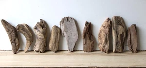 Treibholz Schwemmholz Driftwood 9 Hölzer Terrarium Dekoration 17-24 cm  **154** - Bild 1 von 15