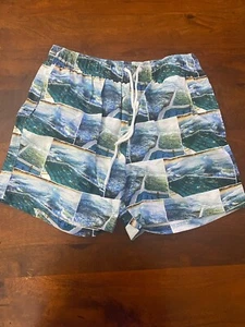 Traje de baño Arizona Jean Co. baúles tabla pantalones cortos para hombre talla grande estampado costero azul - Imagen 1 de 9