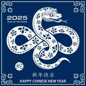 Año Nuevo Chino 2025 - Año de la Serpiente de Madera - Foto Impresa Brillante 4x6 - Imagen 1 de 1
