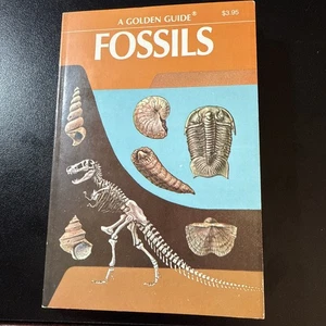 A Golden Guide Fossils A Guide to Prehistoric Life 1962 Golden Press Vintage - Picture 1 of 2