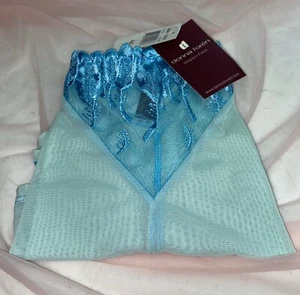 Vtg DONNA LOREN Mesh Lace 4X Aqua Panties Boy Briefs - Picture 1 of 13