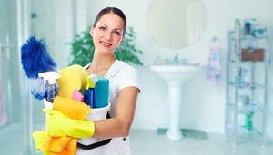 Apartment House Cleaning Service Business Plan - Picture 1 of 3