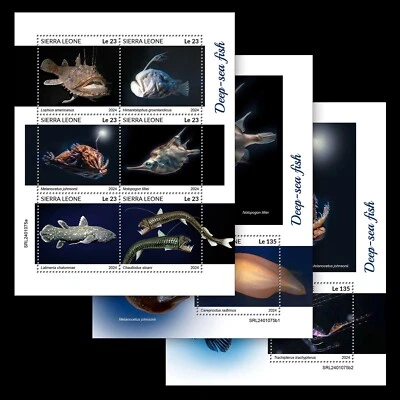 Deep-Sea Fishes MNH Stamps 2024 Sierra Leone M/S + 2 S/S - Image 1 of 4