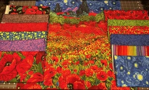 Timeless Treasures 12 Half Yard Cuts Bundle with 24" Panel - Picture 1 of 15