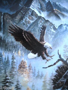 Tom Dooley Signed & Numbered Ltd Edition Eagle Print GREAT Eagle Scout Award - Picture 1 of 5