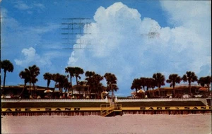 Daytona Beach,FL Sage in Sand 1957 Volusia County Florida Postcard - Picture 1 of 2