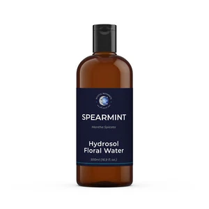 Mystic Moments | Spearmint Natural Hydrosol Floral Water - 1Kg - Picture 1 of 5