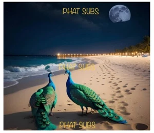 Pavos reales envolventes de vaso de sublimación de 20 oz en la playa listos para presionar transferencia de calor - Imagen 1 de 1