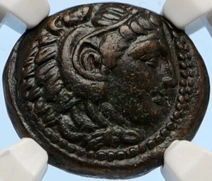 ALEXANDER III the GREAT Hercules Club Macedonia Ancient Greek Coin NGC i95638 - Picture 1 of 5