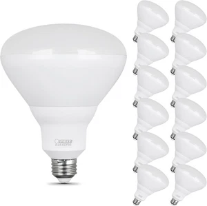 Feit Electric BR40 LED Light 12 Count (Pack of 1), 5000k Daylight White - Picture 1 of 8
