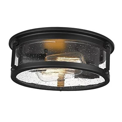 Industrial Flush Mount Ceiling Light, 2-Light Farmhouse Metal Cage Ceiling  - Image 1 of 4