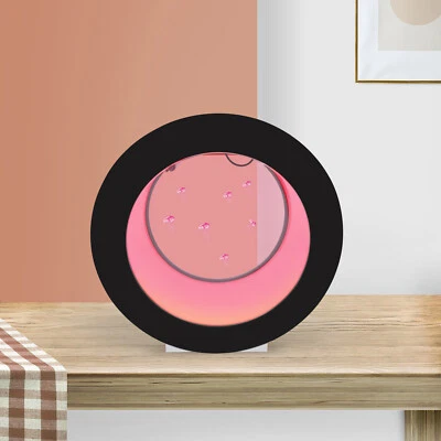 LED Round Fish Tank Desktop Jellyfish Aquarium Tank Kit For Real Live Jellyfish - Image 1 of 4