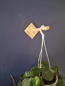 Zimmerpflanze Hängehalterung Handarbeit in UK Altholz Kiefer Eiche ca. 20 cm tief - Bild 1 von 6