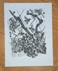 LITOGRAFÍA PABLO PICASSO BUFFON HISTOIRE NATURELLE GUEPE AVISPA BESTIARIO 1970 - Imagen 1 de 1