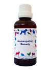 Phytopet Homeopathic Hypericum 30c Dog Cat Pain Relief