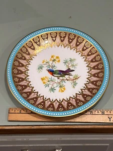 c.1880 Derby Porcelain Aesthetic Movement enameled bird plate encrusted 9” - Picture 1 of 6