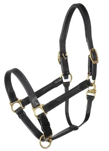 Dark Brown horse stubben soft padded leather adjustable halter - Picture 1 of 2