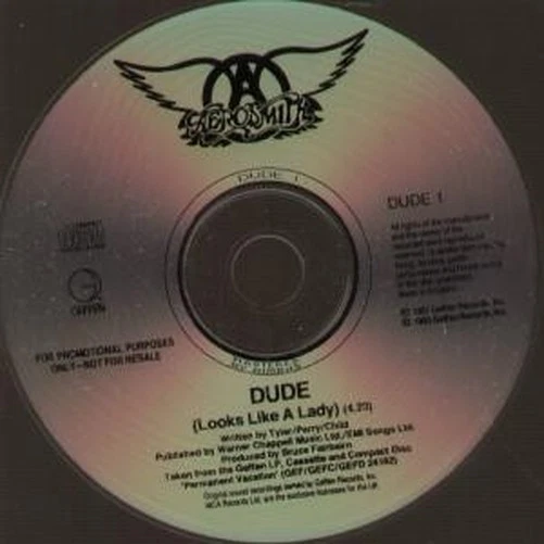 Aerosmith Dude CD UK Geffen 1993 Promo CD DUDE1 - Bild 1 von 1