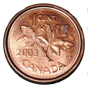 Canada 2003 New Effigy 1 Cent Zinc One Canadian Penny Coin Non Magnetic - Picture 1 of 2