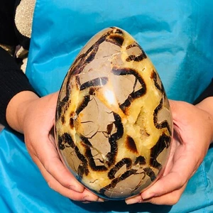 5.65LB Top Natural Dragon Septarian Crystal geode Quartz egg mineral Specimen - Picture 1 of 18