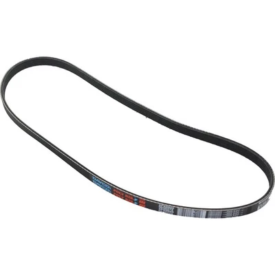 5040373 Dayco Drive Belt for Chevy INFINITI G25 M45 FX35 FX45 M35 G35 Q45 350Z - Image 1 of 4
