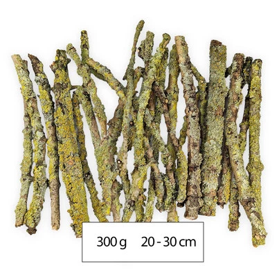 300g Flechten, Moos Zweige – Deko/Futter für Asseln, Schnecken & Terrarientiere - Bild 1 von 2