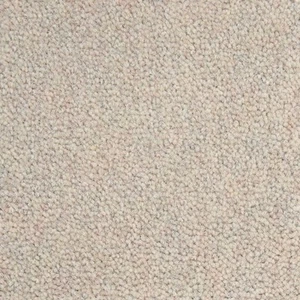 Westex Ultima Twist Penultima Porridge Carpet Remnant 5.5m x 5.0m (s34102) - Picture 1 of 3