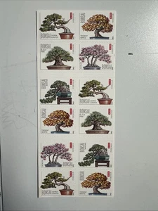 20 FOREVER FIRST CLASS LETTER STAMPS BONSAI STAMPS MNH 2011 - Picture 1 of 2