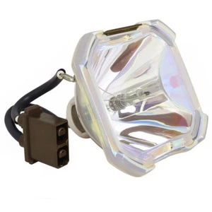 Lámpara desnuda proyector Ushio NEC GT95LP - Imagen 1 de 5