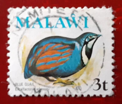 MALAWI 1975 3t Used Blue Quail Mi 231X Scott 235 Bulleye SOTN Superb 6553 - Image 1 of 2