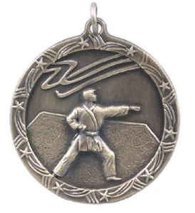 Karate Medal School Team Sport Award Trophy W/ FREE Lanyard FREE SHIP  ST17 M142 - Picture 1 of 2