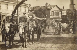 Gaines, N.Y., Centenary Celebration, Ox and Horse Carts (1909) RPPC Postcard - Imagen 1 de 2