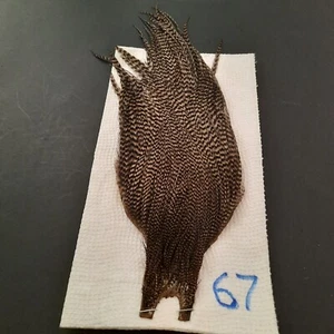 Dark Med. Dun Grizzly Dry Fly Hackle Neck Cape Dry Fly Tying Feathers #67 - Picture 1 of 6
