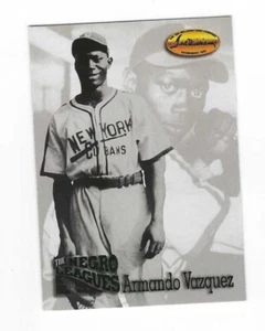 1993 TED WILLIAMS CARD COMPANY ARMANDO VAZQUEZ #113 - Picture 1 of 1
