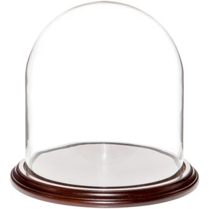 Plymor 9.75" x 10" Glass Display Dome Cloche (Dark Mahogany Veneer Base) - Picture 1 of 1