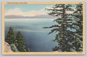 Linen Postcard Thru The Pines Lake Tahoe California 1939 - Picture 1 of 2